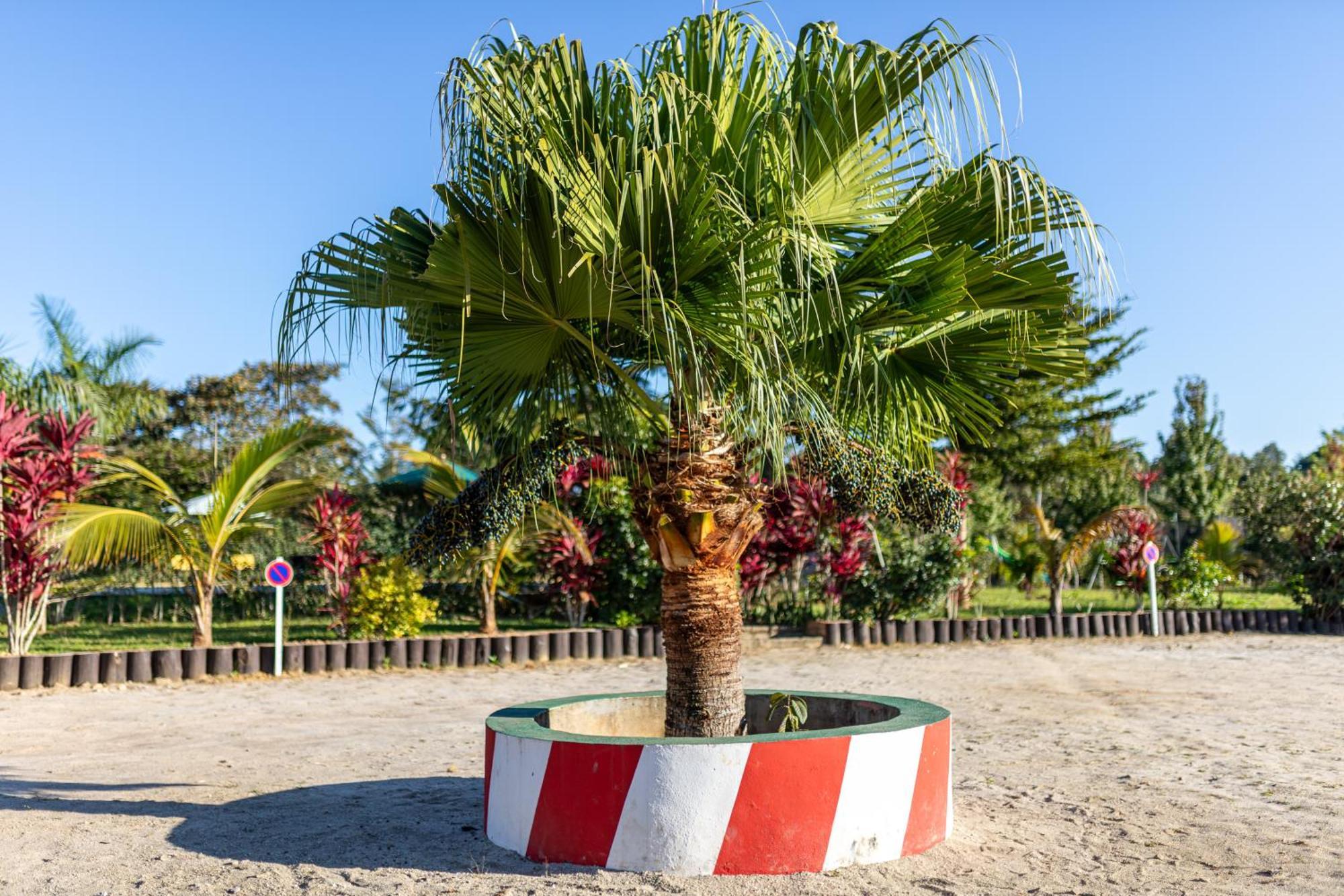 Andasibe Lemurs Lodge Экстерьер фото